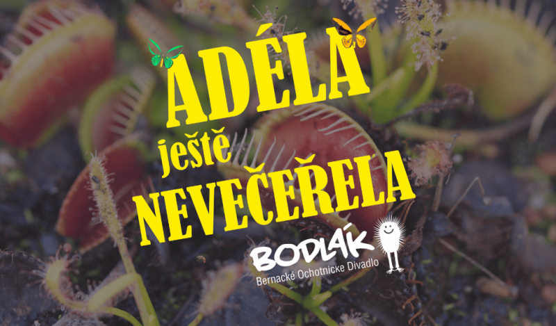 Benefiční představení Adéla ještě nevečeřela
