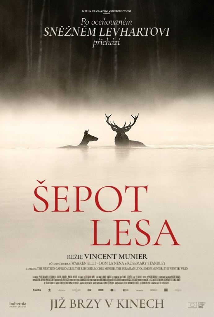Šepot lesa